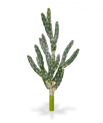 Mākslīgais kaktuss Tetragonus (45 cm)