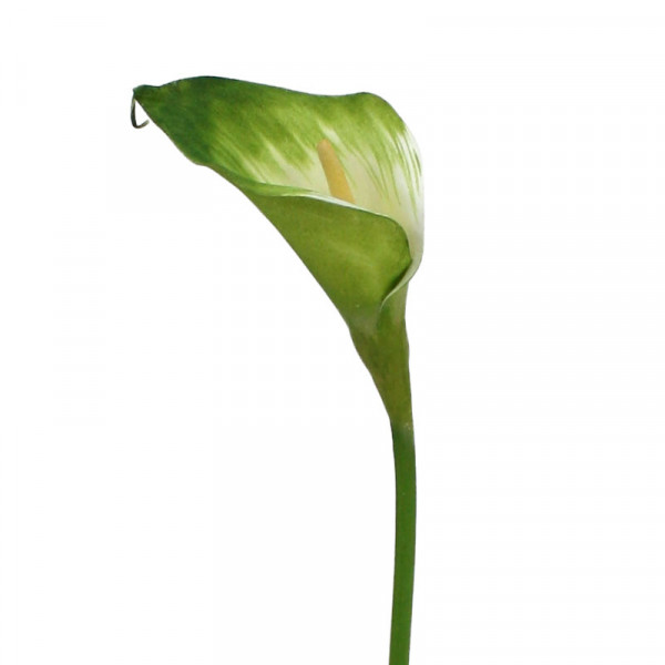 Mākslīgās kallas zieds ar kātu (55 cm)