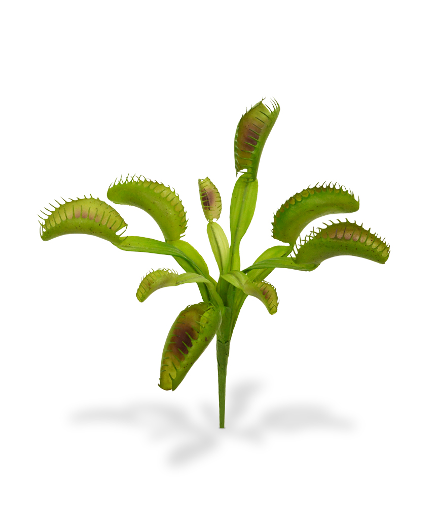 Dirbtinis augalas Jautrusis musėkautas 20 cm