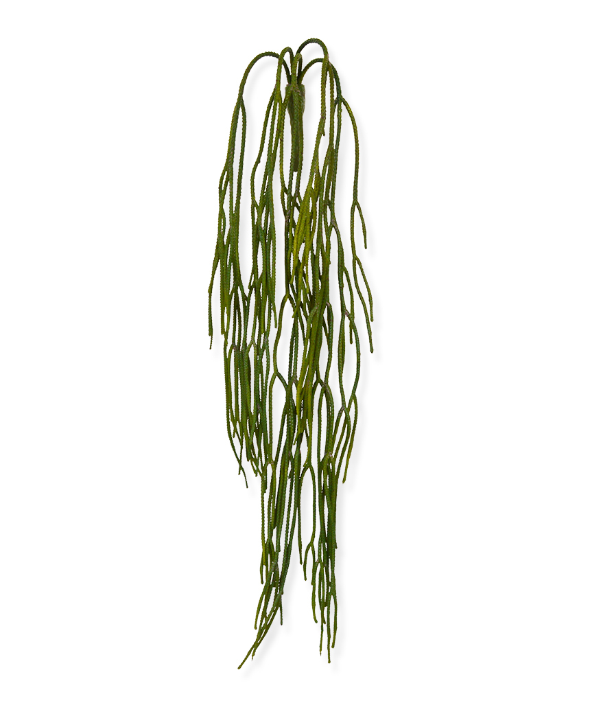 Artificial Rhipsalis Pilocarpa trailing plant (65 cm)