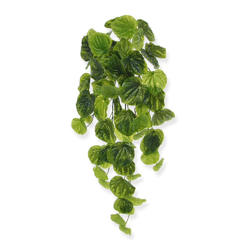 Sztuczny Peperomia wisząca (60 cm)