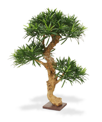 Mākslīgais Podocarpus bonsai koks x3 ar pamatni (65 cm)
