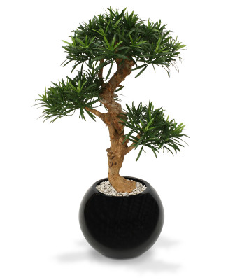 Mākslīgais Podocarpus bonsai koks x3 ar pamatni (65 cm)