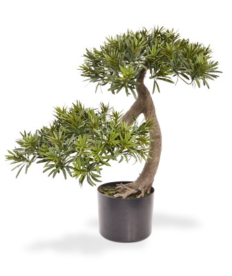 Artificial Podocarpus Bonsai tree 55 cm
