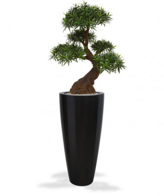Mākslīgais Podocarpus bonsai koks (90 cm) UV
