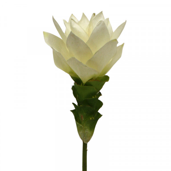 Sztuczny Kurkuma cięty kwiat (50 cm)