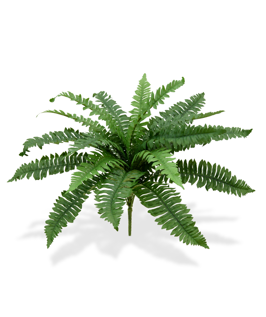 Kunst Kõrge nefroleep sõnajalg (40 cm) Kunst Kõrge nefroleep sõnajalg (40 cm)