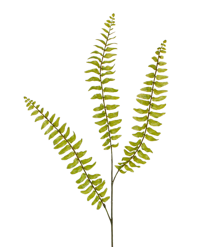 Dirbtinis augalas Papartis 85 cm