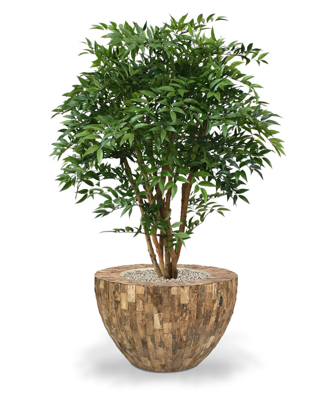 Dirbtinis augalas Dirbtinė Pelžiedė Deluxe N 110 cm