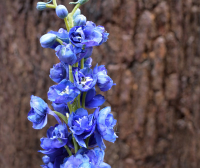 Ramo Delphinium artificial 60 cm azul