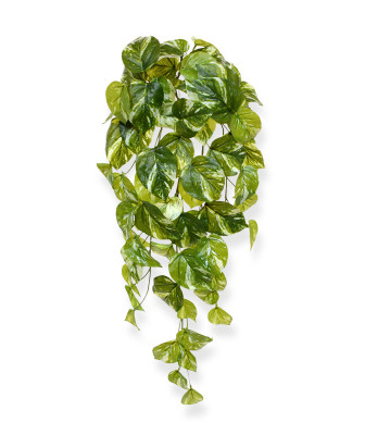 Planta rasteira Pothos artificial 60 cm 
