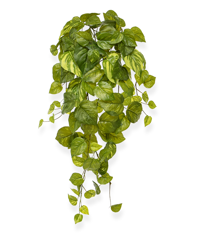 Artificial Pothos hangingplant (55 cm)