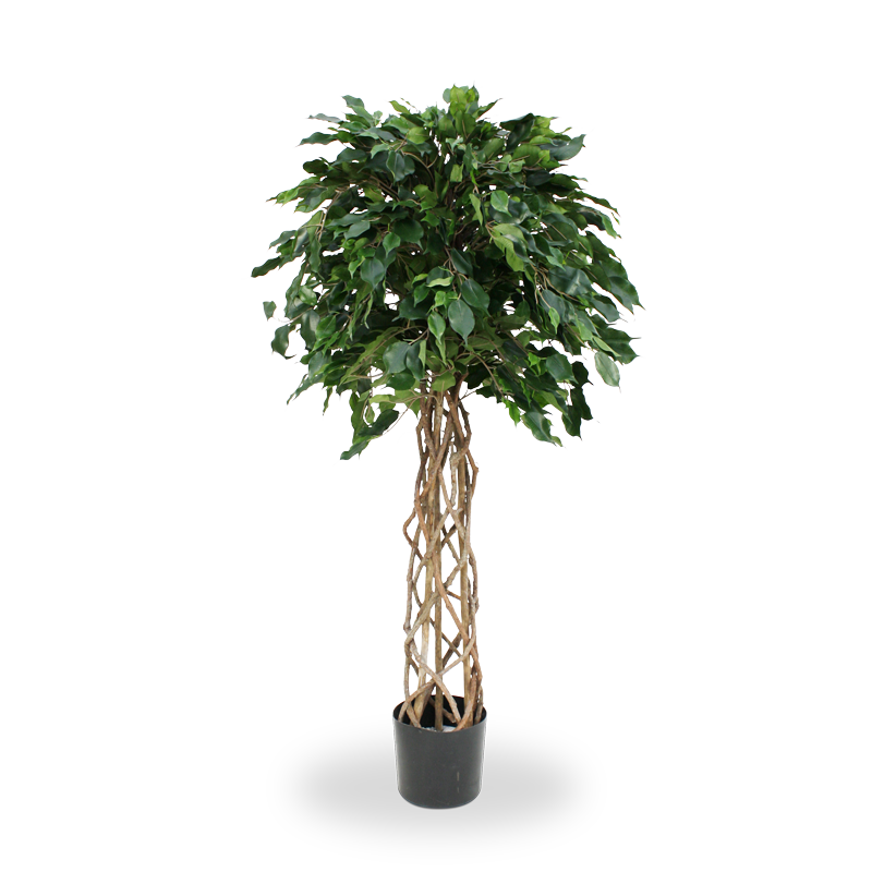 Kunstboom Ficus Exotica (150 cm)
