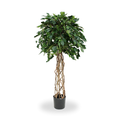 Artificial Ficus Exotica ball 150 cm