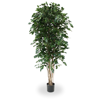 Artificial Ficus Exotica Deluxe artificial tree 210 cm green