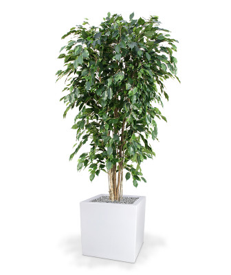 Artificial Ficus Exotica Deluxe 180 cm green
