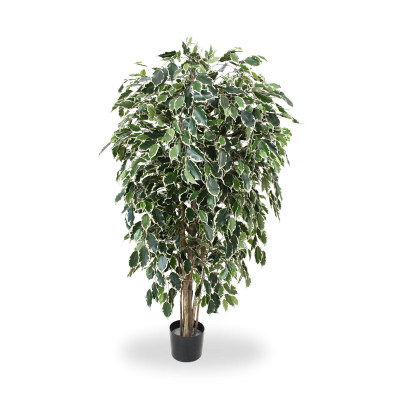 Ficus Exotica artificial Deluxe 150 cm variegado