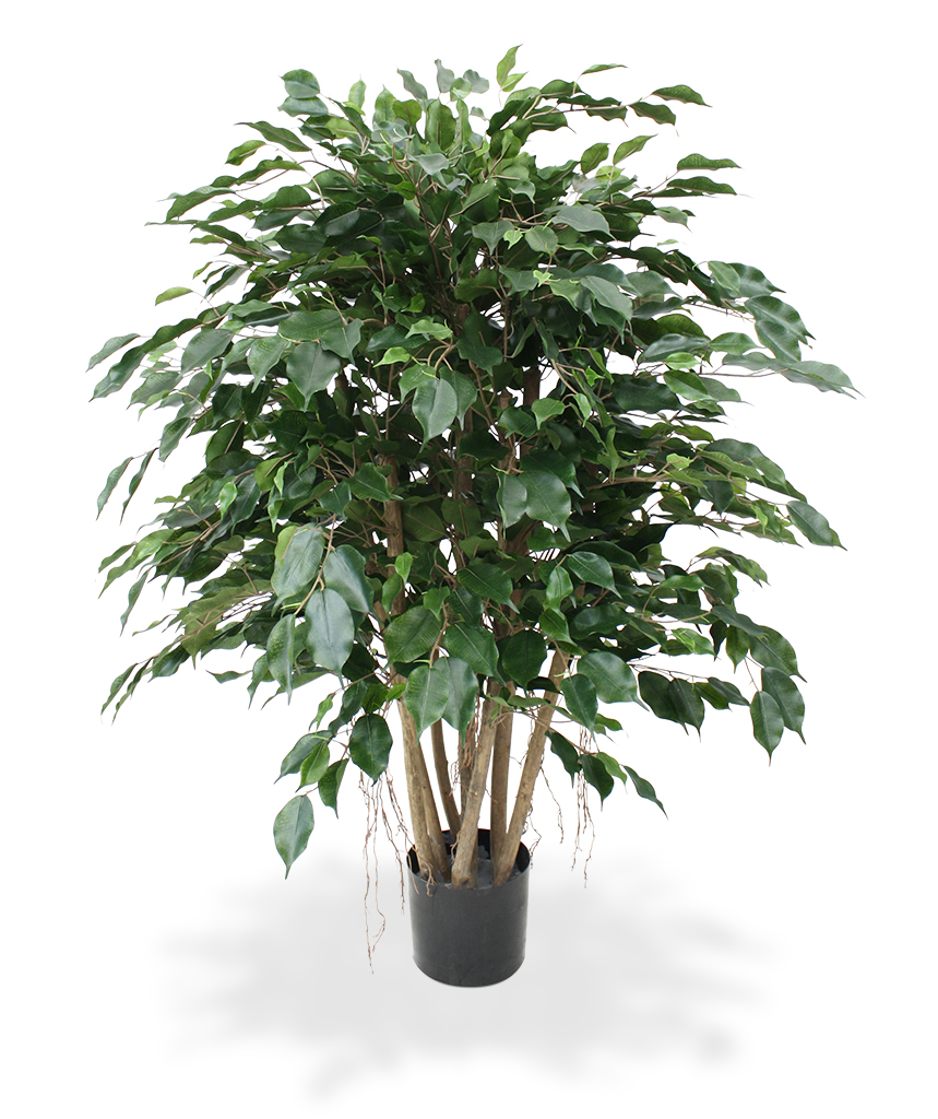 Kunstbaum Ficus Exotica XL (110 cm)