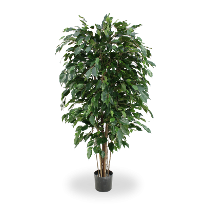 Artificial Fireretardant Ficus Exotica Deluxe 150 cm green FR