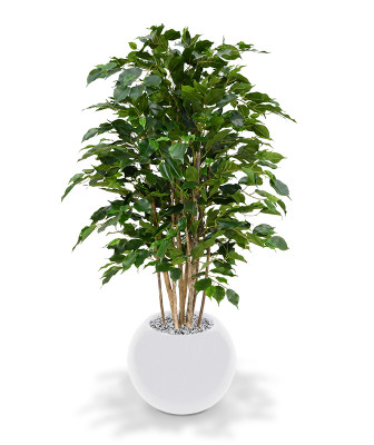 Artificial Ficus Exotica Deluxe 125 cm green