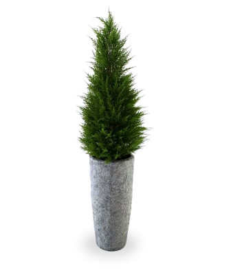 Konstgjord Cypress (100 cm)