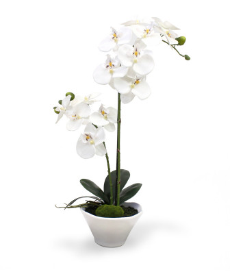 Artificial Phalaenopsis Orchid 50cm x2 in ceramic bowl