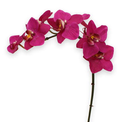 Artificial Phalaenopsis Orchid 80 cm purple