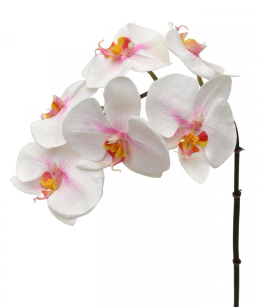 Ramo de Orquídea Phalaenopsis artificial 55 cm rosa | Escolha o seu favorito