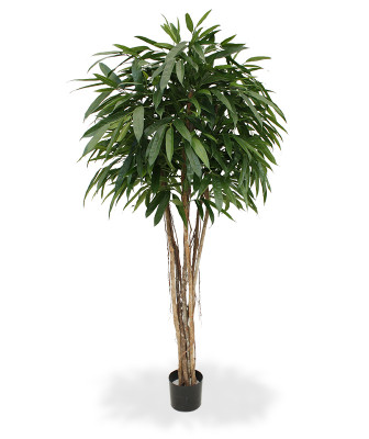 Mākslīgā Longifolia Deluxe (180 cm)