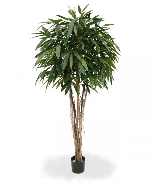 Sztuczny Longifolia (180 cm)