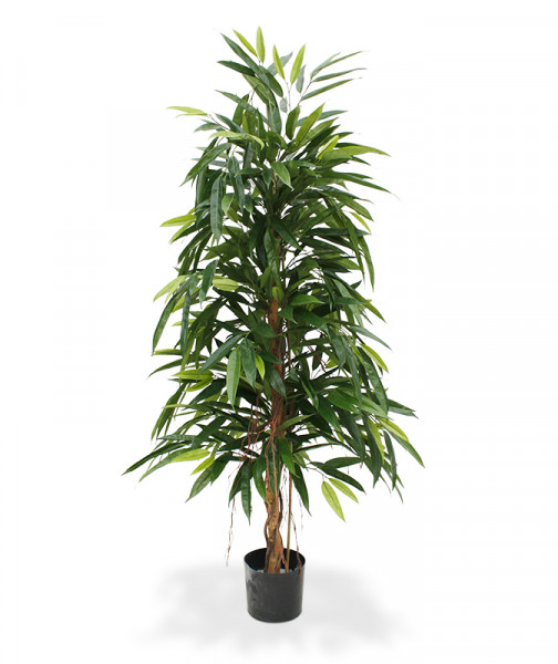 Mākslīgā Longifolia Royal (150 cm)