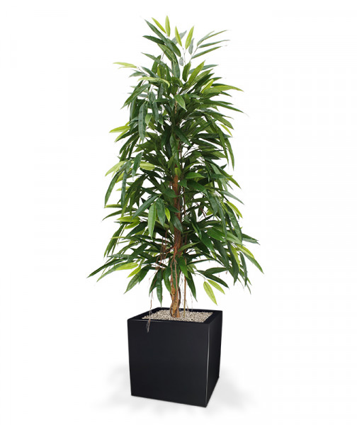 Sztuczny Longifolia Royal (150 cm)