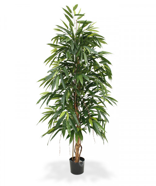 Sztuczny Longifolia Royal (175 cm)