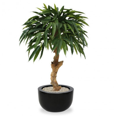 Longifolia Royal artificial 90 cm no tronco 