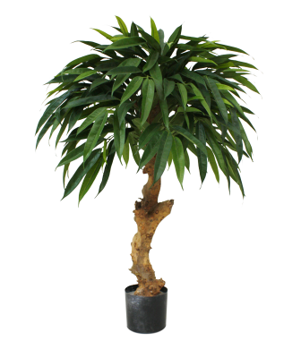 Mākslīgais longifolia karaļa 90 cm uz stumbra