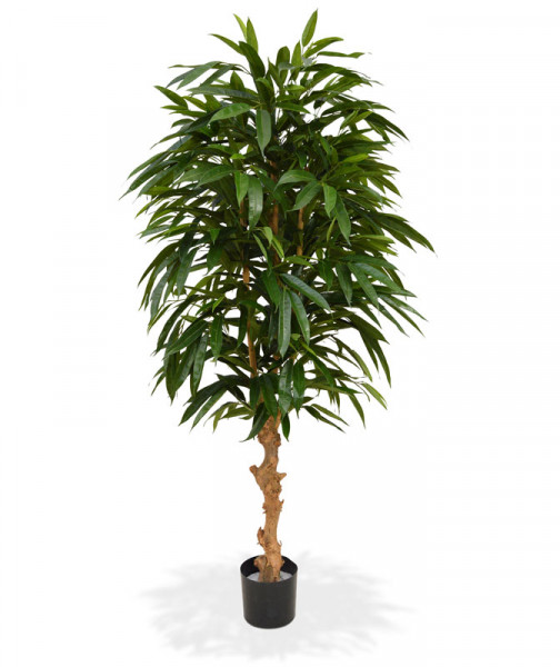 Keinotekoinen Longifolia Royal (165 cm)