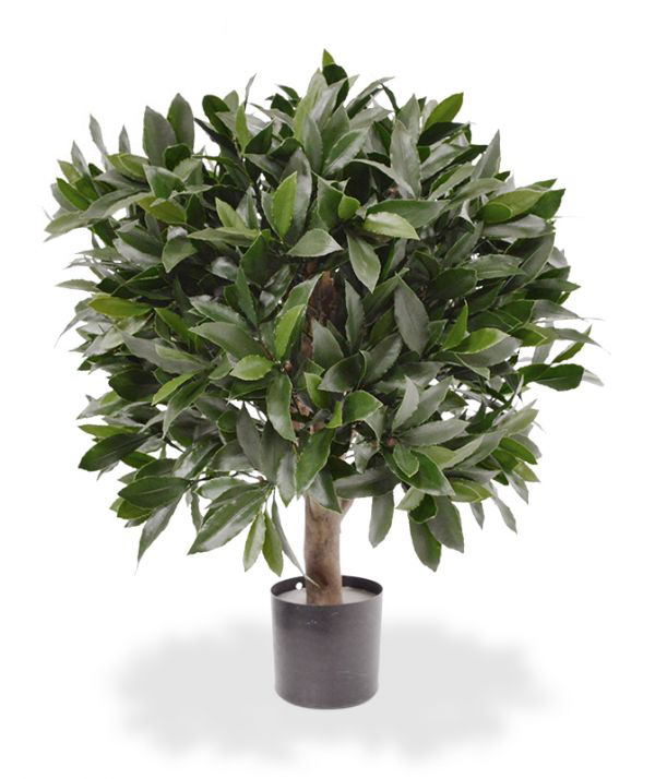 Kunstplant Laurierbal (50 cm) UV