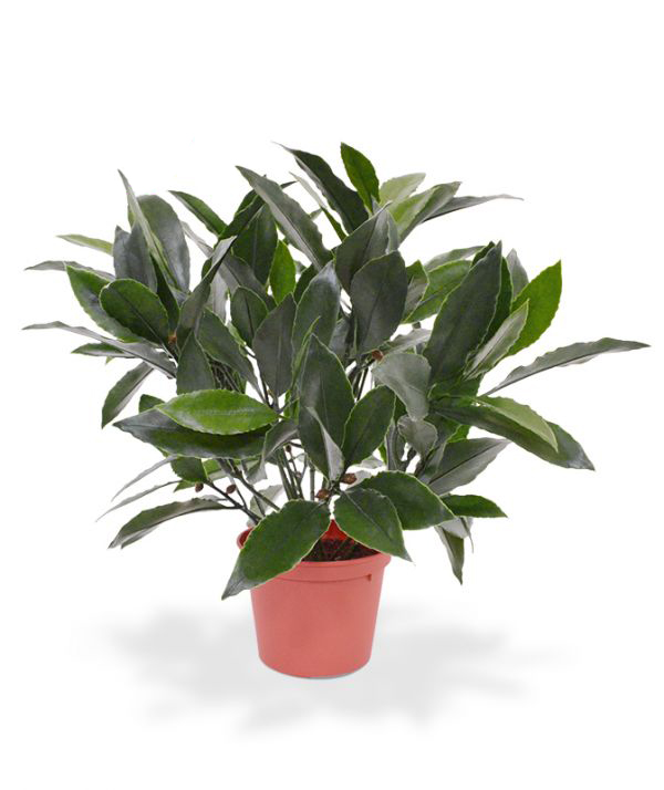 Dirbtinis augalas Lauramedis vazone 35 cm UV