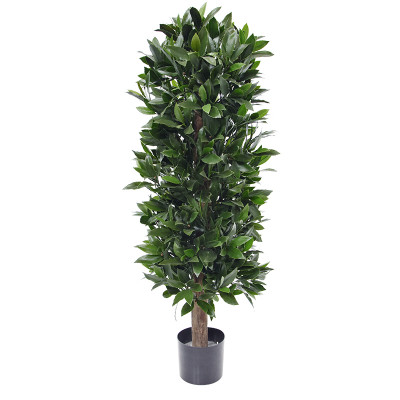 Loorberipuu UV-kaitsega (125 cm)