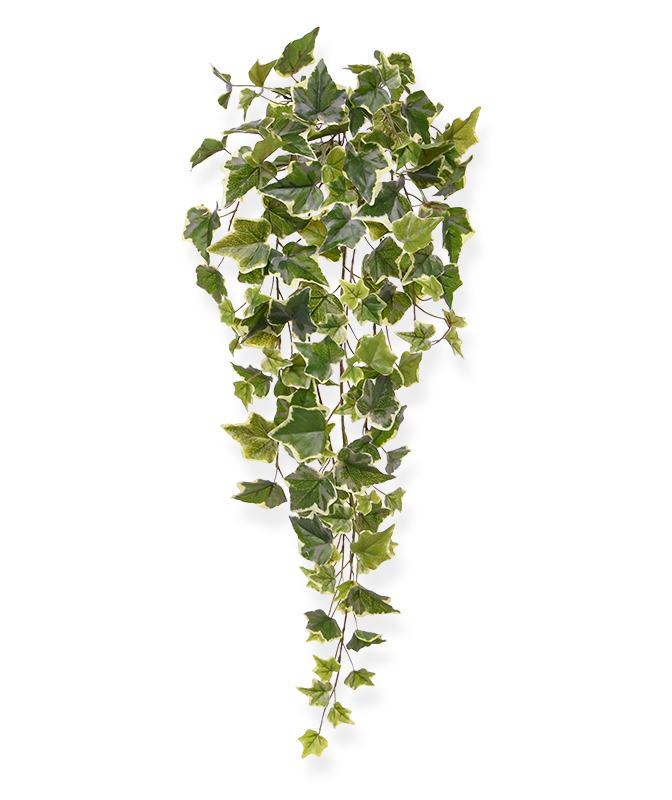 Umetna rastlina Ivy viseča rastlina (65 cm)