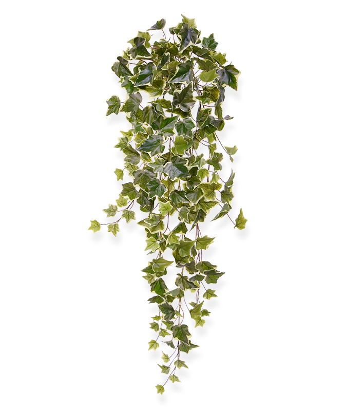 Umetna rastlina Ivy viseča rastlina (80 cm)