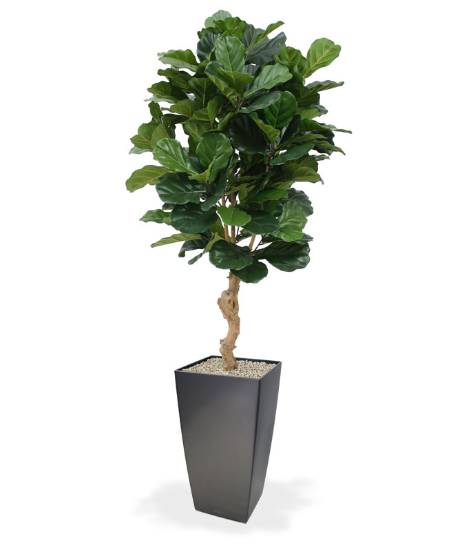 Kunstpuu Lüüra-viigipuu (160 cm)