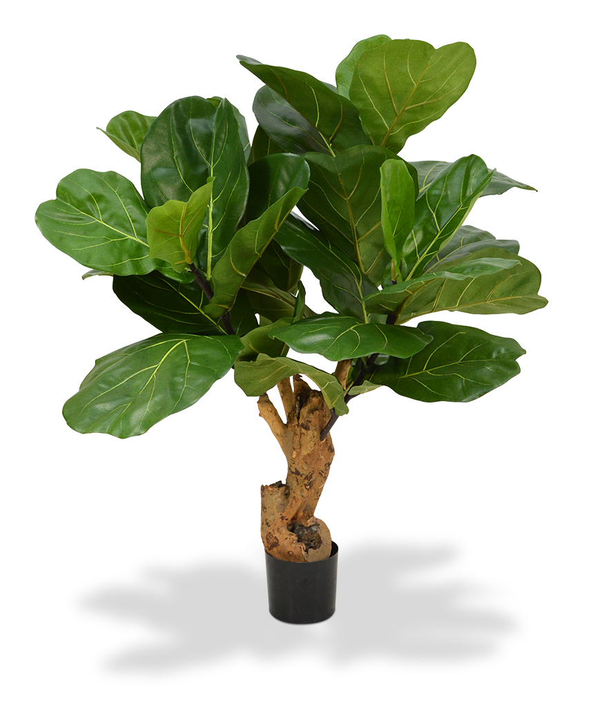 Dirbtinis augalas Lyralapis fikusas 80 cm