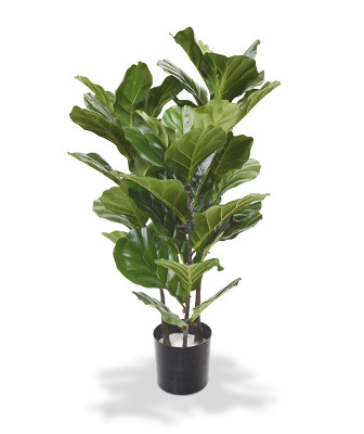 Dirbtinis Lyralapis fikusas augalas 95 cm
