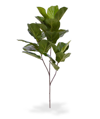 Lüüra-viigipuu (70  cm)