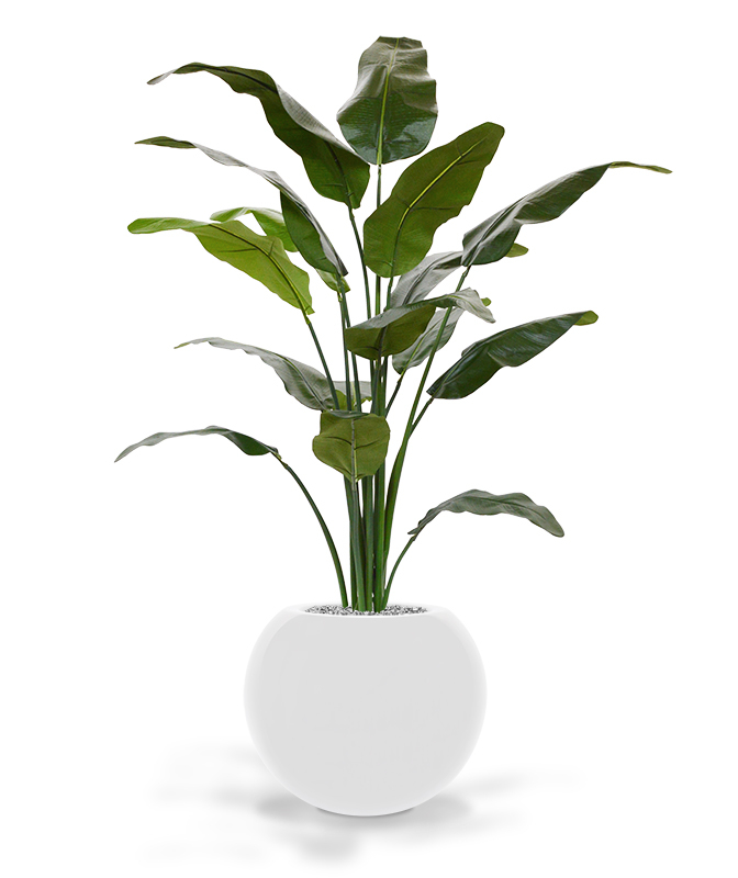 Kunsttaim Ränduripuu palm (165 cm)