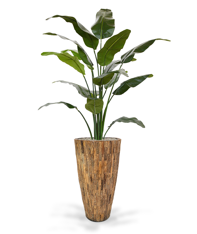 Mākslīgā ceļotāju palma (165 cm)