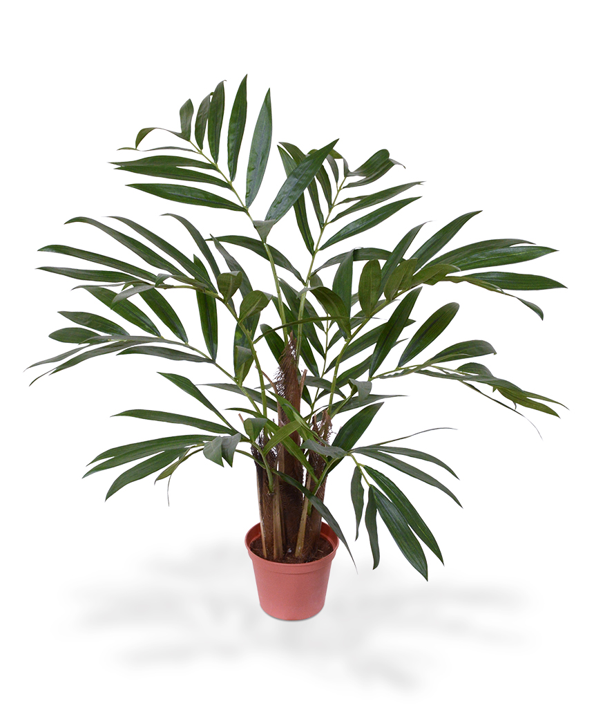Dirbtinis Chamedorėja Palmė 65 cm vazone Dirbtinis Chamedorėja Palmė 65 cm vazone