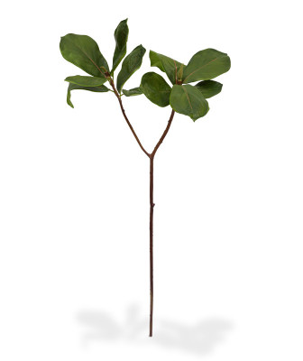 Mākslīgās magnolijas zars (65 cm)