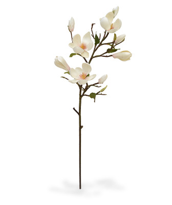 Magnoolia (80 cm)
